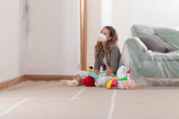 Reliable Commercial Mold Remediation contractor in Ashville, PA by Car Mold Remediation
