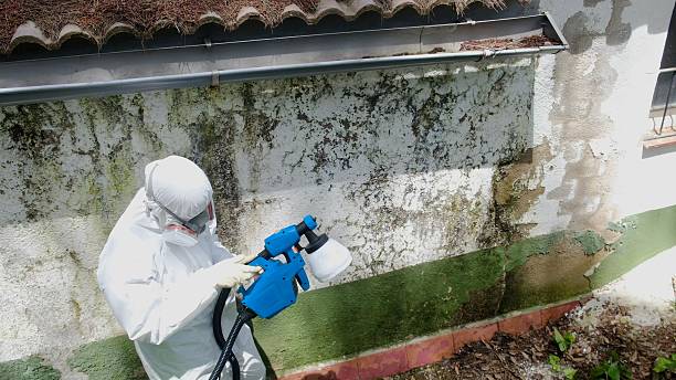 Top rated local Commercial Mold Remediation specialists in Ashville, PA
